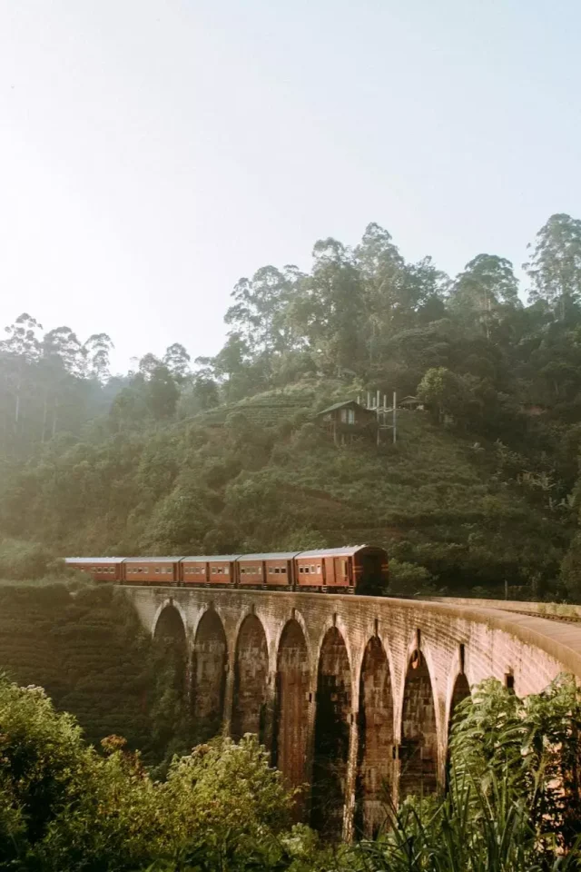 voyage-au-sri-lanka